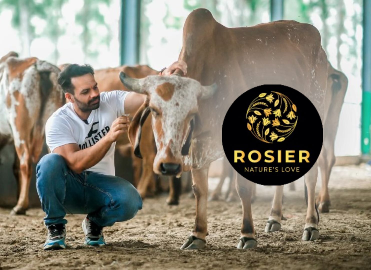 rosier foods by gaurav taneja